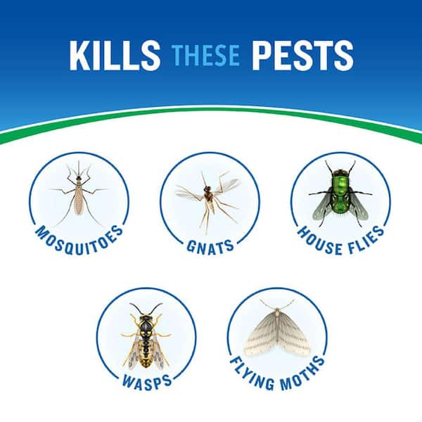 16 oz. Backyard Bug Control Outdoor Fogger Ready-to-Spray Outdoor Multi-Bug Killer (6-Pack)