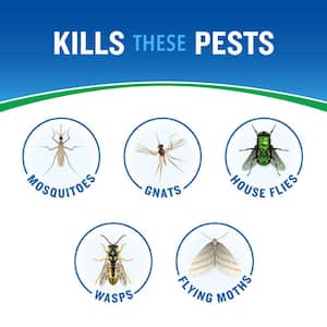16 oz. Backyard Bug Control Outdoor Fogger Ready-to-Spray Outdoor Multi-Bug Killer
