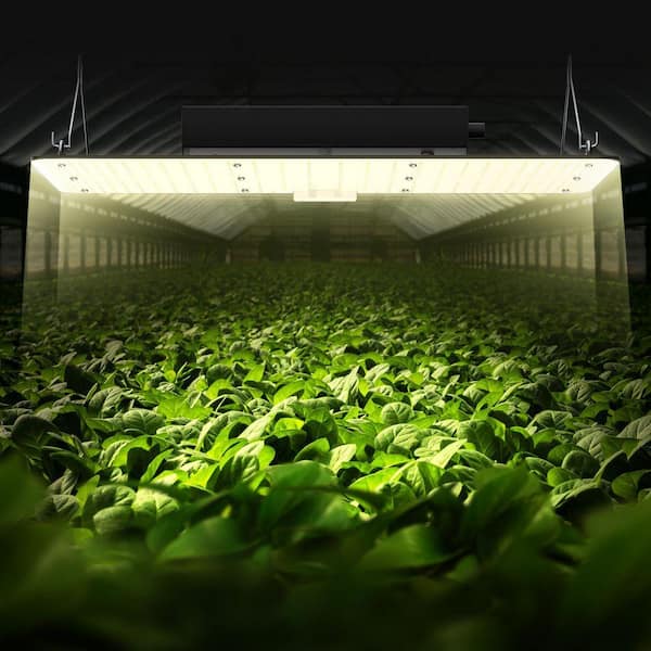 その他 JIGA GROW LIGHTS BJ-270EVO Samsung LED SVOPES 200 W LED Growth Light, Full Spectrum Adjustable, Samsung