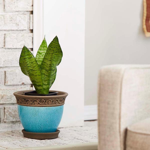 Cadiz Small 8 in. x 6.5 in. Teal Ceramic Indoor 3 Qt. Pot (2-Pack)