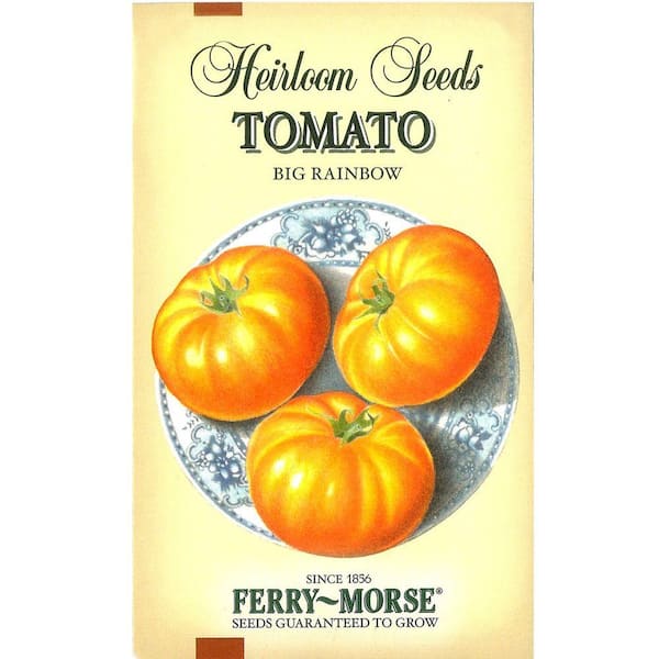 Tomato Big Rainbow-Heirloom Seed