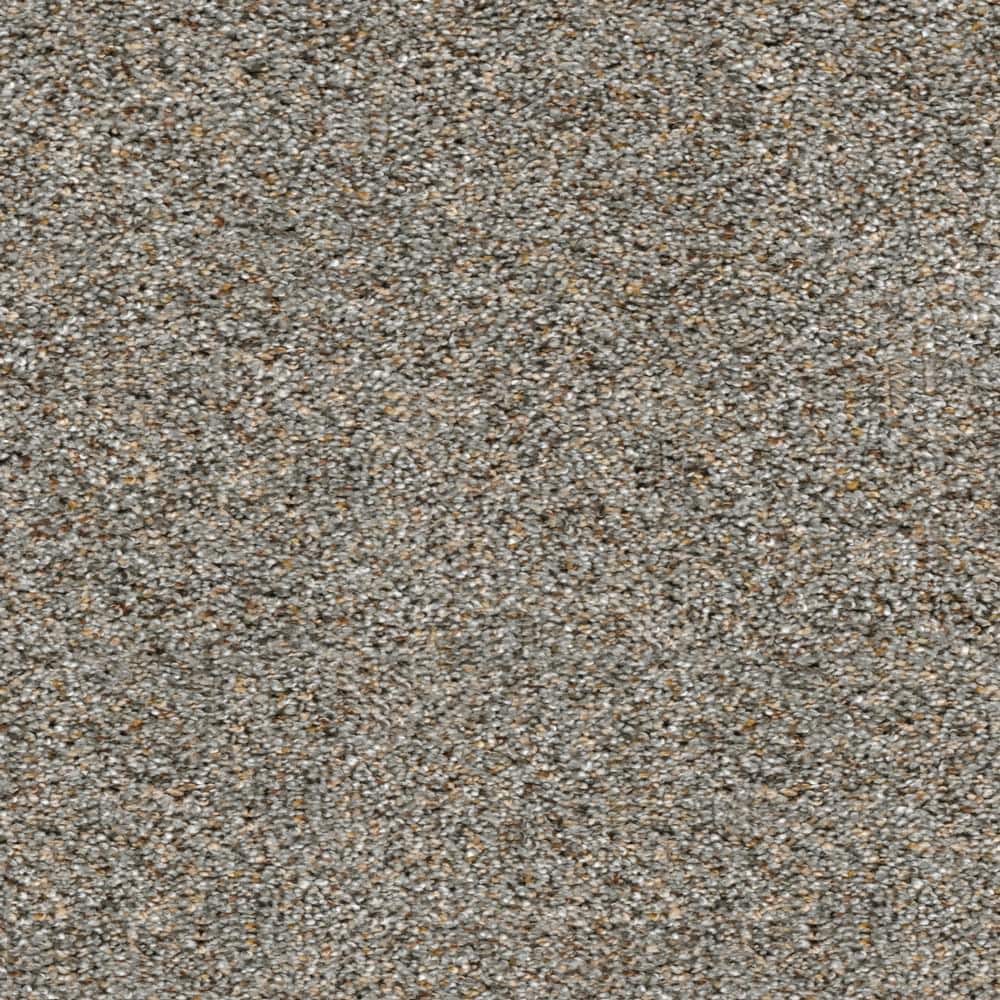 8 in. x  8 in. Texture Carpet Sample - Whispers -Color Reveal price history on PriceWatchPro