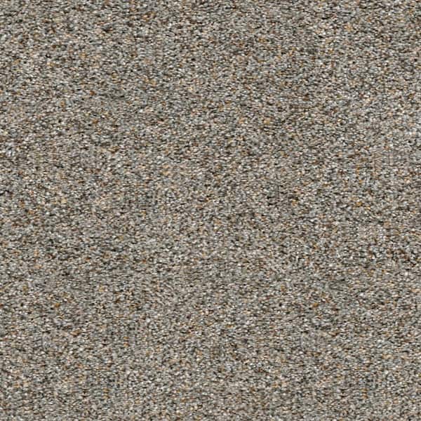 Home Decorators Collection Whispers  - Reveal - Gray 38 oz. SD Polyester Texture Installed Carpet