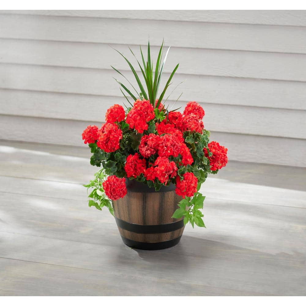 16 Inch Kentucky Walnut Resin Wine Barrel Planter