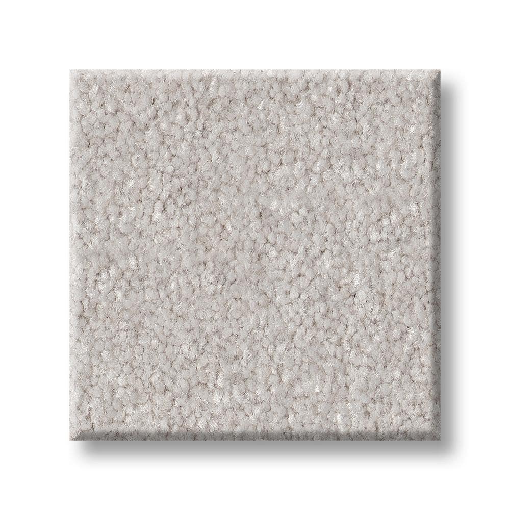 8 in. x 8 in. Texture Carpet Sample - Blakely II -Color Gypsum price history on PriceWatchPro