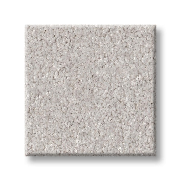 Lifeproof 8 in. x 8 in. Texture Carpet Sample - Blakely II -Color Gypsum