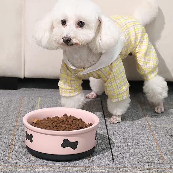 Ceramic Dog Bowl with Bone Pattern 16 Fl Oz Pink Porcelain Pet Dish for  Small Dogs Food Water Non Skid 755PH01222D - The Home Depot