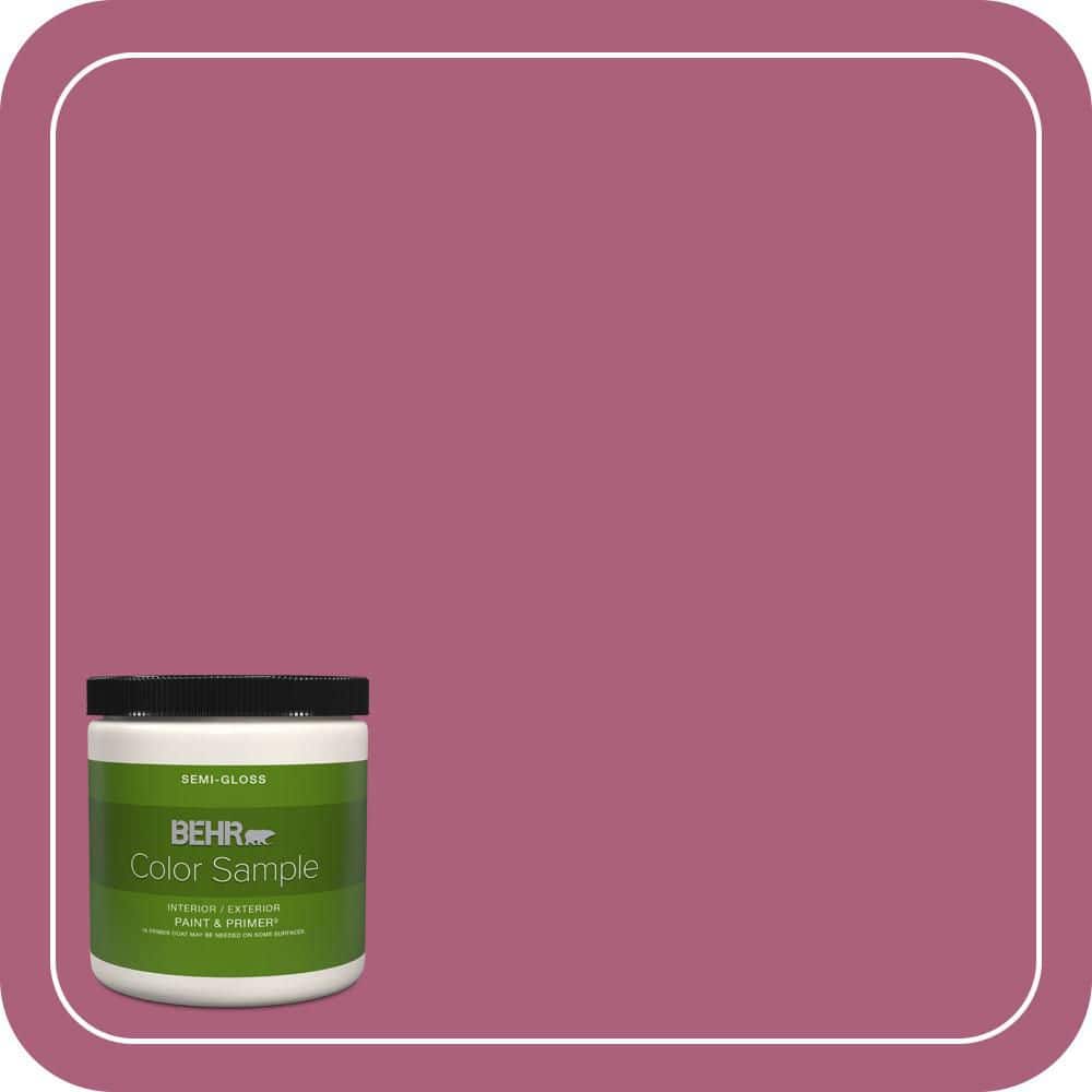 8 oz. #T13-1 Daah-Ling Semi-Gloss Interior/Exterior Paint & Primer Color Sample price history on PriceWatchPro