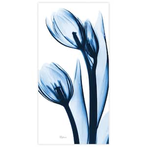 "Two Blue Tulips" Unframed Free Floating Tempered Glass Panel Graphic Wall Art Print 48 in. x 24 in.