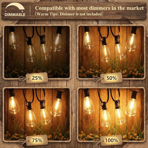 Nordic Hygge 100 ft. LED Outdoor String Lights Plug-in with 52