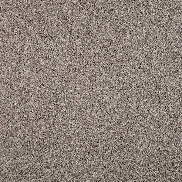 Lifeproof with Petproof Technology Barx I  - Weathered Wood - Brown 43 oz. Triexta Texture Installed Carpet