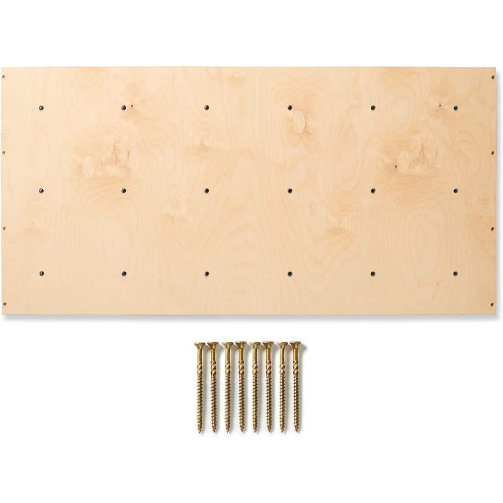 Textured DIY Climbing Wall Panel (4 ft. x 2 ft.) with 3/8-16 T-nuts Install
