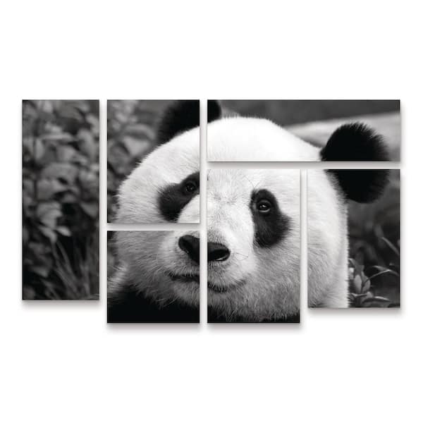 Trademark Fine Art SD Smart Giant Panda 6-Piece Panel Set Unframed Photography Wall Art 28 in. x 47 in.