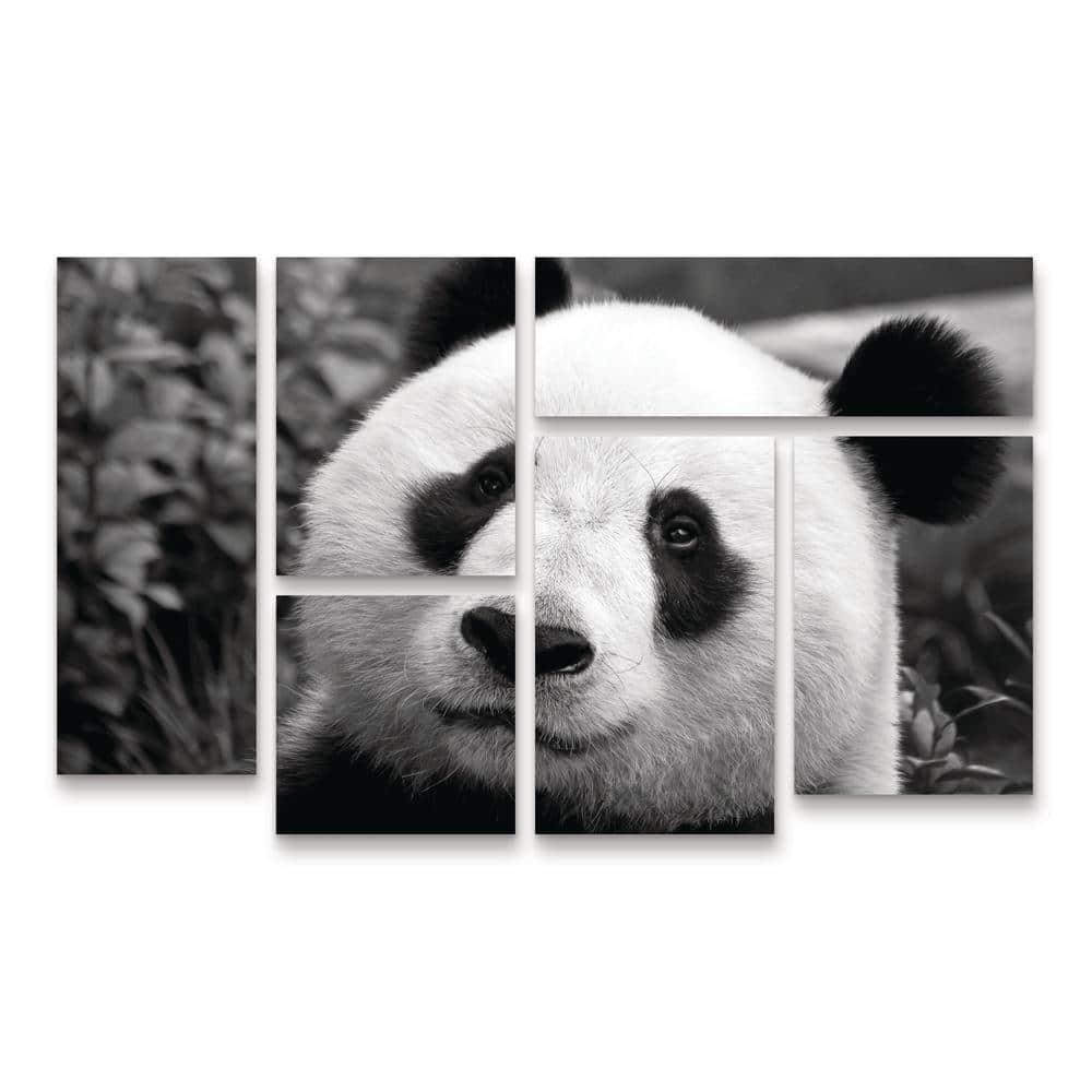 SD Smart Giant Panda 6-Piece Panel Set Unframed Photography Wall Art 28 in. x 47 in. price history on PriceWatchPro