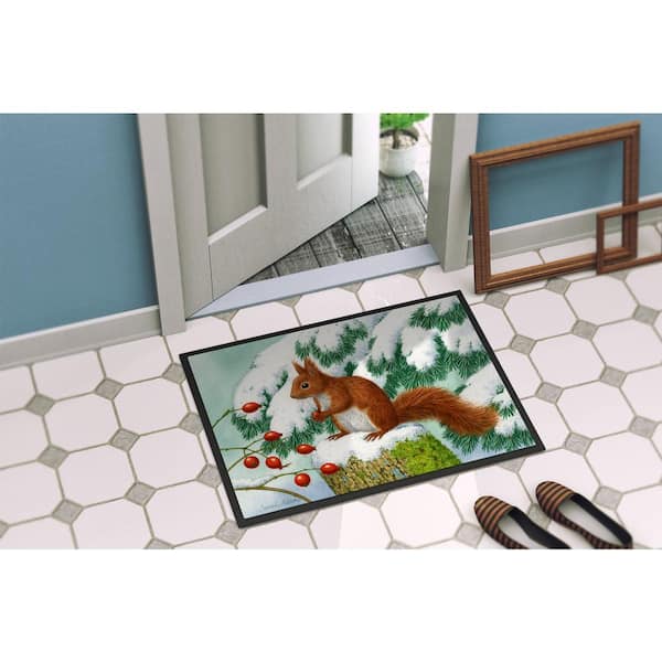 Cute Squirrels and Nuts Floor Mat Entrance Doormat Non-Slip Carpet 40X60 cm Outdoor 