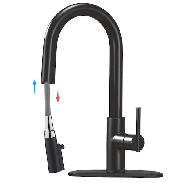 Single Handle Pull Down Sprayer Kitchen Faucet with 2-Mode Sweep/Spray in Stainless Steel Matte Black Finished