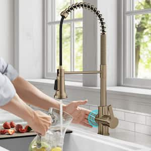 Britt Touchless Sensor Commercial Pull-Down Single Handle Kitchen Faucet in Spot Free Antique Champagne Bronze