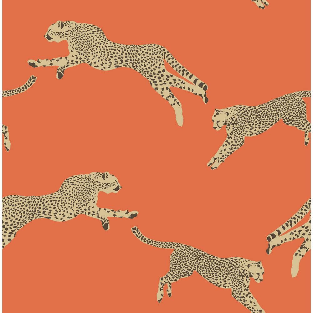 Scalamandre SC0006WP88449 Leaping Cheetah Black Magic Wallpaper