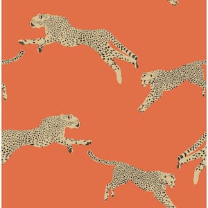 Clementine Leaping Cheetah Peel and Stick Wallpaper Sample