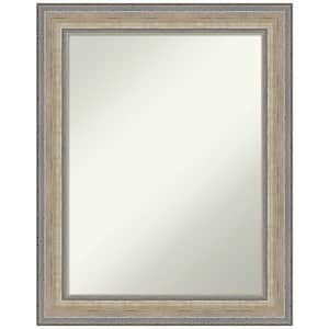Fleur Silver 23.25 in. x 29.25 in. Non-Beveled Traditional Rectangle Wood Framed Wall Mirror in Silver