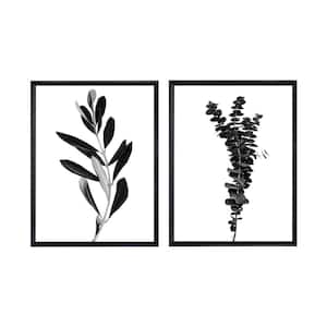 Olive and Eucalyptus Branches Framed Canvas Wall Art - 24 in. x 32 in. Each, by Kelly Merkur 2-Piece Set Black Frames