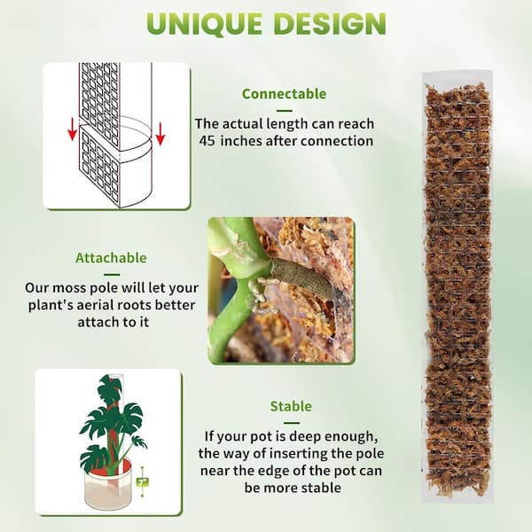 24 in. H Clear Plastic Moss Pole for Monstera D Shaped Poles for Climbing  Plants w/ Sphagnum Moss & Garden Ties (4-Pack) OGSA04-3092 - The Home Depot