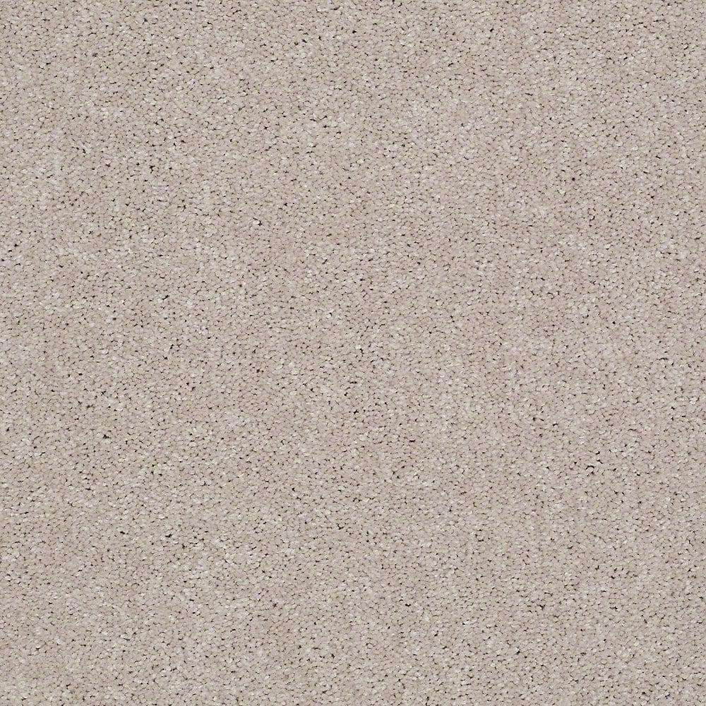 8 in. x 8 in. Texture Carpet Sample - Brave Soul I - Color Tasty Warm price history on PriceWatchPro