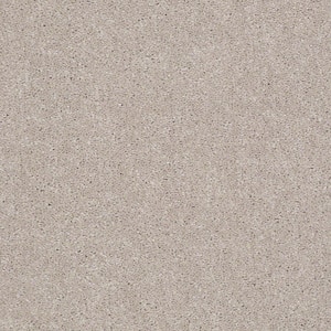 Brave Soul I - Tasty Warm - Beige 34.7 oz. Polyester Texture Installed Carpet