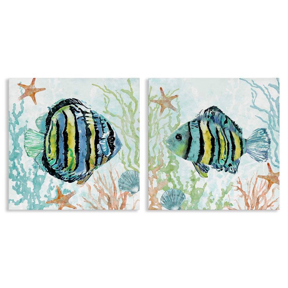Aquatic Striped Fish by Carol Robinson 2-Pieces Unframed Animal Graphic Art Print 24 in. x 24 in. price history on PriceWatchPro