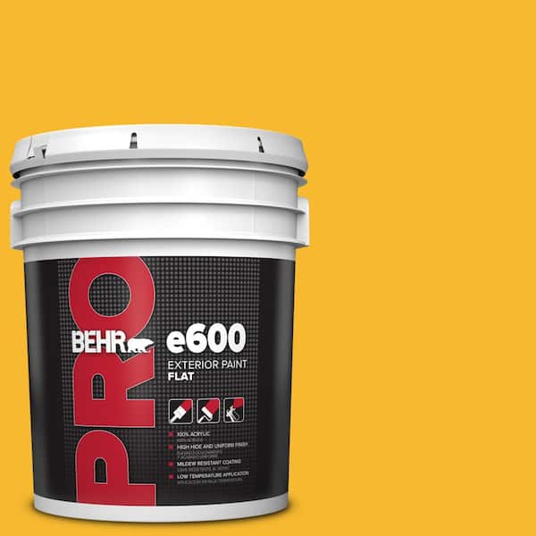 5 gal. #HDC-MD-02A Yellow Groove Flat Exterior Paint