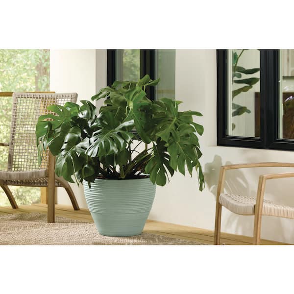 19 in. Ashton Sage High-Density Resin Planter (19 in. D x 15 in. H)