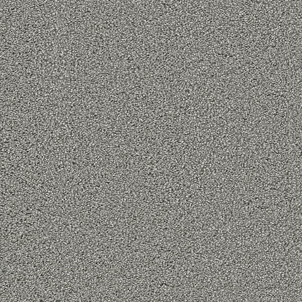 Lifeproof Carpet Sample - Harvest I - Color Shady Brook Texture 8 in. x 8 in.