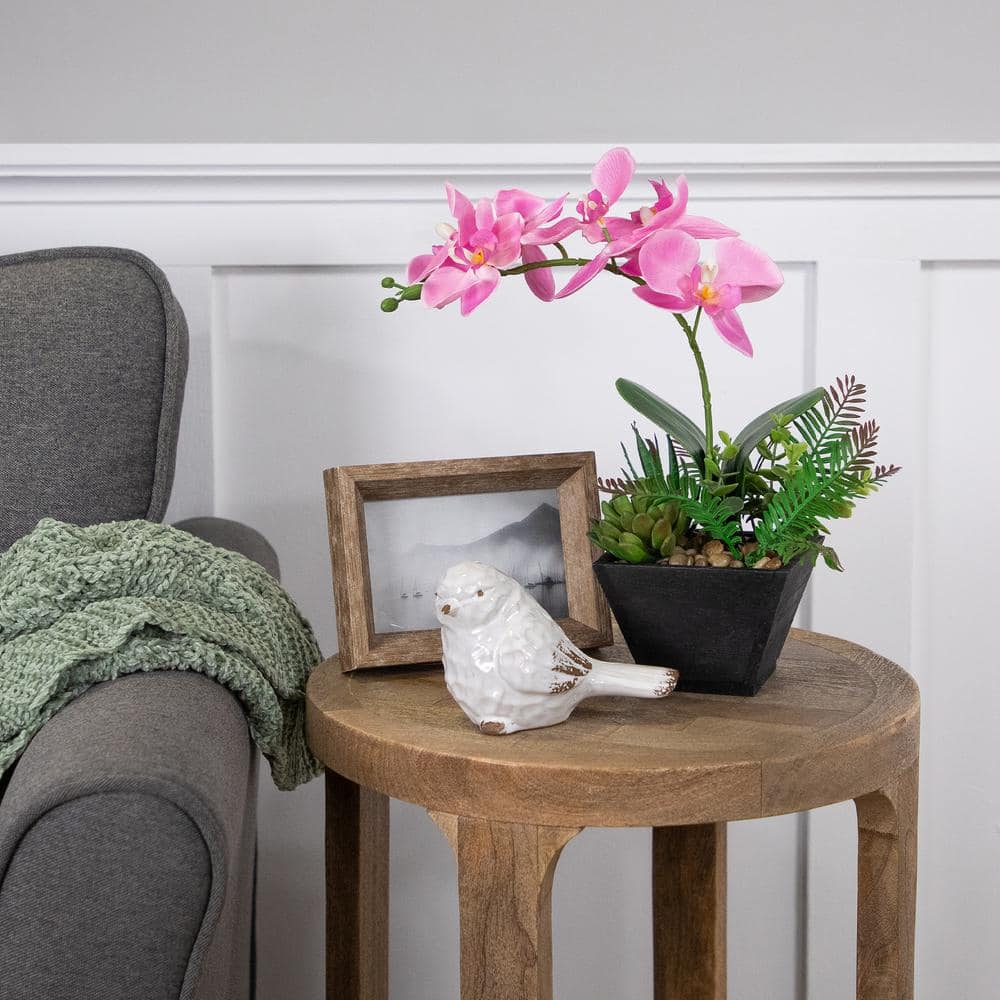 13" Potted White and Pink Orchid with Succulent Plants in Black Wooden Pot