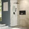 Photo 1 of 36 in. W x 78 in. H Frameless Fixed Single Panel Shower Door in Matte Black with 3/8 in. (10mm) Clear Glass
