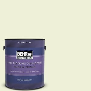 1 gal. #P360-1 Budding Leaf Ceiling Flat Interior Paint and Primer