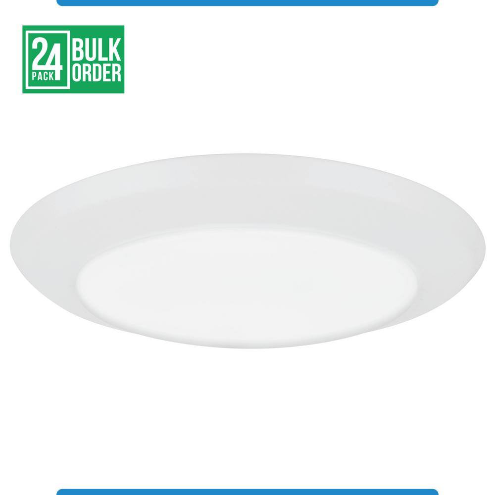 RadioShack 5mm High-Brightness White LEDs – 24 Pack #2760017 Bulk