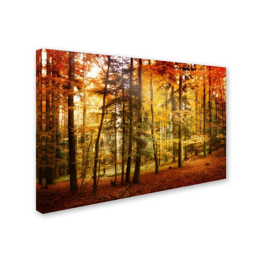 Philippe Sainte-Laudy Autumn Forest Yellow Orange Canvas Art 22x32