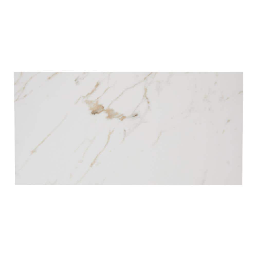 Renner Marble Ash 6 in. x 6 in. Glazed Porcelain Tile Sample price history on PriceWatchPro