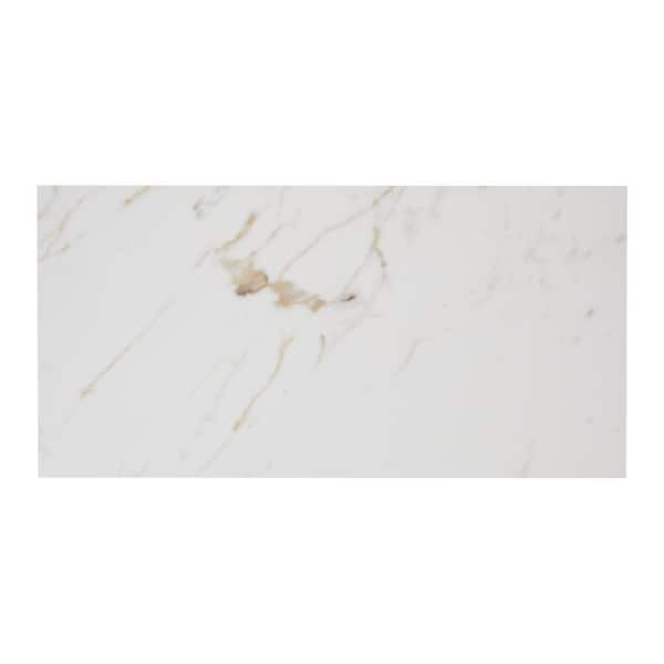 Daltile Renner Marble Ash 6 in. x 6 in. Glazed Porcelain Tile Sample