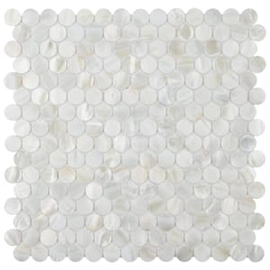 Conchella Mini Penny White 11-1/2 in. x 11-5/8 in. x 2 mm Natural Seashell Mosaic Tile (0.93 sq. ft./Each)