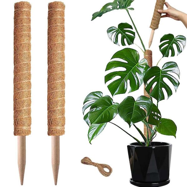 Primehome 5 Pack Stackable Monstera Plant Support, Moss Pole Alternative,  Plant Stakes HD-PSP-3 - The Home Depot