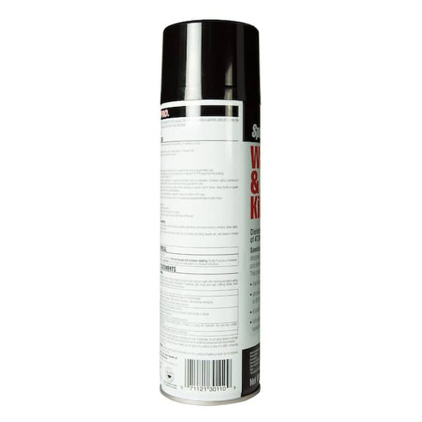 Spectracide Pro Pro 18 Oz Wasp And Hornet Killer Aerosol 2 Pack Hg The Home Depot