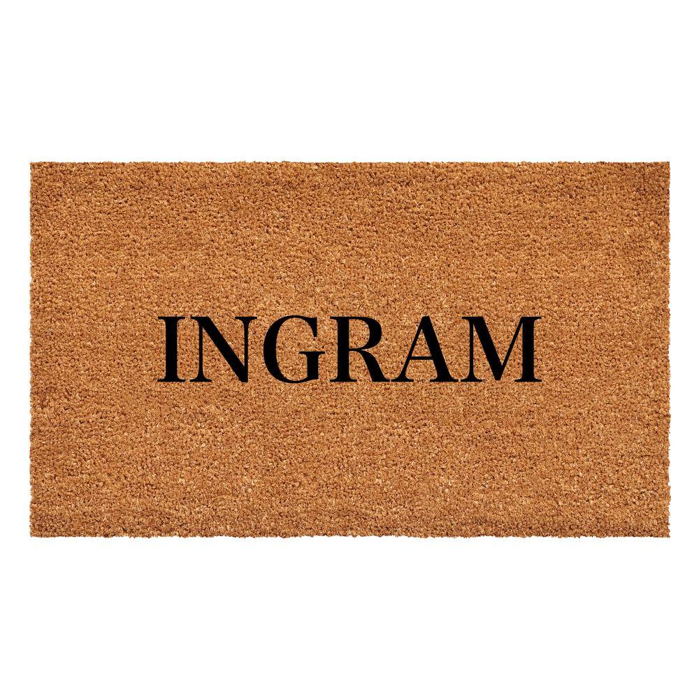 Bold Ingram Multi-Colored 17 in. x 29 in. Indoor or Outdoor Doormat price history on PriceWatchPro
