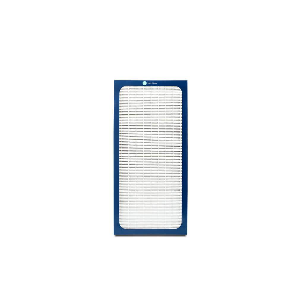 Blueair 400 Series Dual Protection Filter 402DPF - The Home Depot