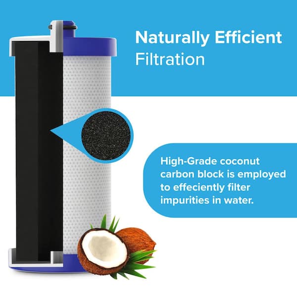 Frigidaire Refrigerator Filter for Frigidaire WF3CB PureSource 3 HDWF3CB -  The Home Depot