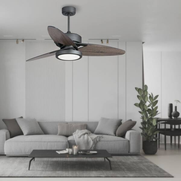 ✨ うじ✨ Jushua Light Pro 52 in. LED Indoor Black Smart Ceiling Fan