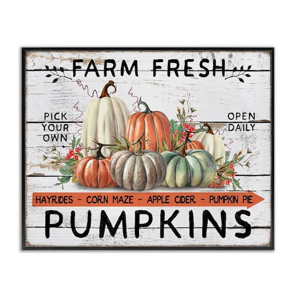 Stupell Industries 'Freshly Picked Pumpkins' Framed Wall Art - Autumn Fall Decor, 11x14 Inch, Made In USA - View #8