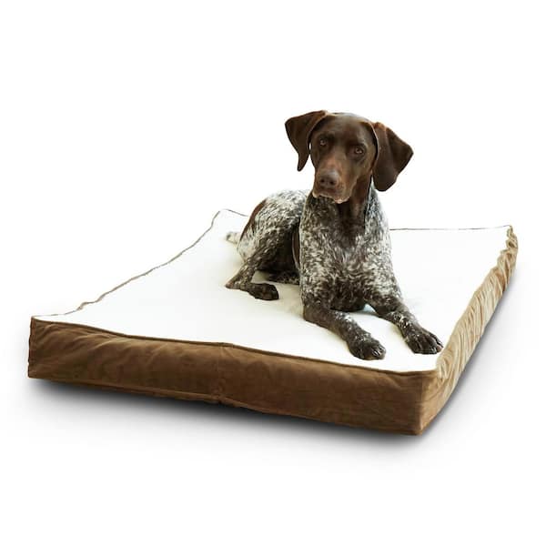 https://images.thdstatic.com/productImages/10273634-e5c7-4754-bca7-aa11e3be459f/svn/latte-happy-hounds-dog-beds-db700m-latte-birch-64_600.jpg