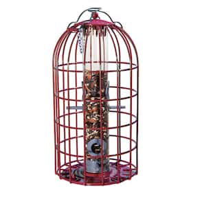 The Original Seed Feeder 13.4 in. H x 6.7 Dia Red Squirrel Resistant