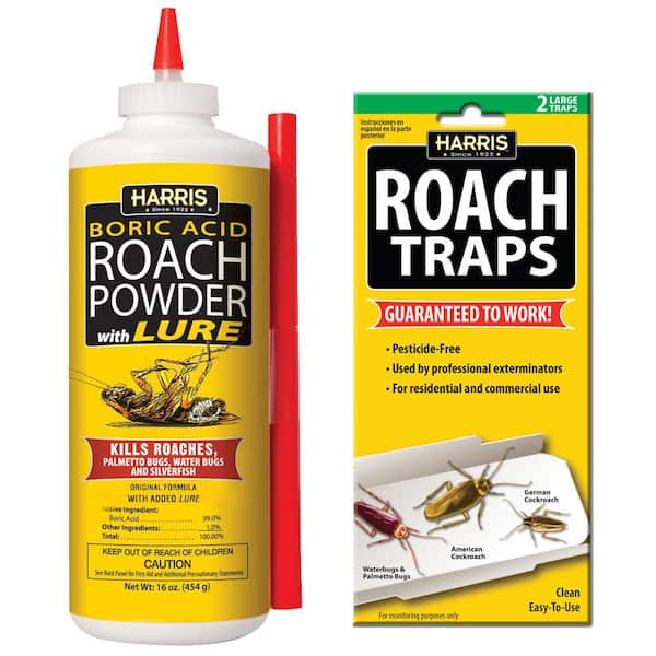 best roach traps